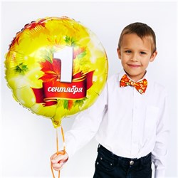 1 СЕНТЯБРЯ Листья кленовые, круг 45см 1202-2529 - фото 6915