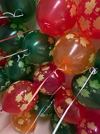 {{photo.Alt || photo.Description || 'Шары под потолок,1 сентября. 20 шт'}}