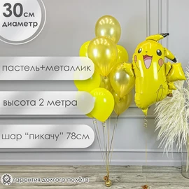{{photo.Alt || photo.Description || 'Фонтан из шаров с Пикачу'}}